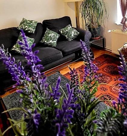 Bright Studio Close To Zaventem Airport Bruxelles Exterior foto