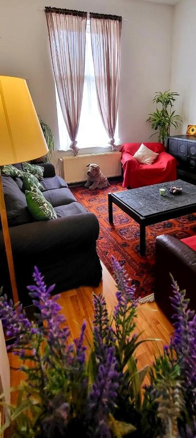 Bright Studio Close To Zaventem Airport Bruxelles Exterior foto